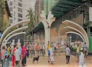 BDS Course Curriculum